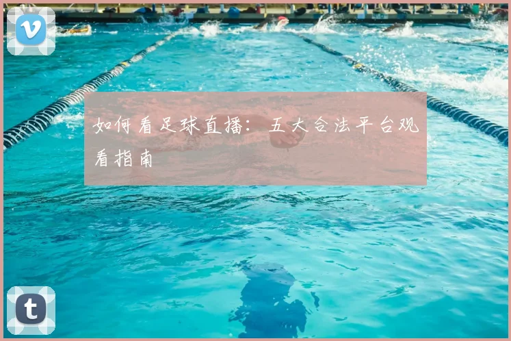如何看足球直播：五大合法平台观看指南