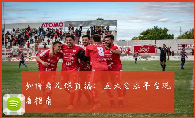 如何看足球直播：五大合法平台观看指南
