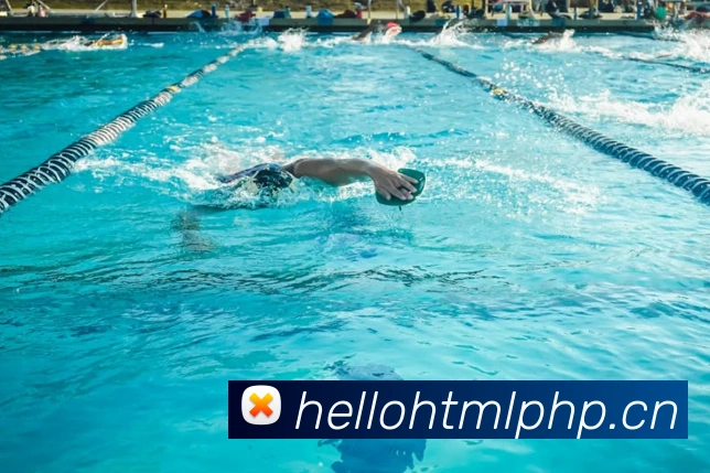 云开体育官方登录入口平台生态图